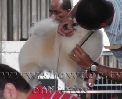 Clique sobre a foto para fechar